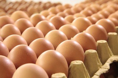 眉山鸡蛋检测价格,鸡蛋检测机构,鸡蛋检测项目,鸡蛋常规检测